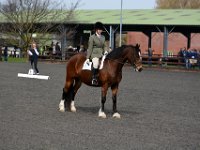 dsc 0551 30774859705 o