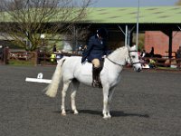 dsc 0637 30738706816 o