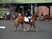 dsc 0676 30738977406 o