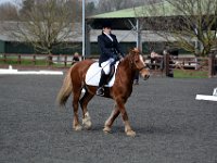 dsc 0680 30738994646 o