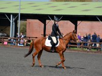 dsc 0685 30739038256 o