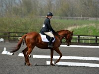 dsc 0687 30474969140 o