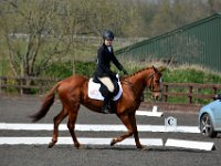 dsc 0688 30658849762 o