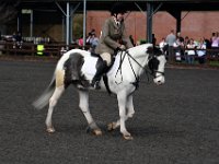 dsc 0706 30144003274 o