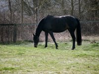 dscn2504 30661283892 o