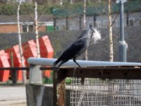 dscn2514 30778016045 o