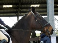 dscn2529 30146463414 o