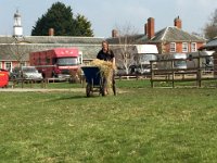 img 5727 30386046051 o