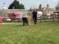 img 5728 30386047061 o