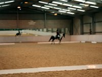 img 7393 30476202550 o