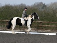 img 7838 30136780843 o