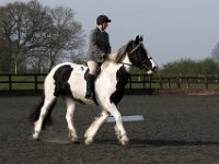 img 7842 30136787883 o