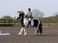 img 7847 30772268815 o