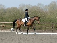 img 7919 30471855450 o