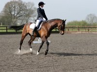 img 7924 30735707116 o