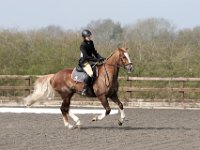 img 7942 30471888160 o