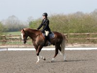 img 7944 30136953883 o