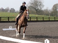 img 7956 30471907510 o