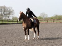 img 7959 30136985063 o