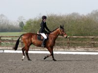 img 7978 30140676044 o