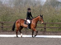 img 7984 30655764992 o