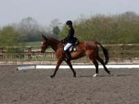 img 7988 30137026563 o