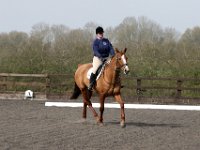 img 7992 30137036323 o