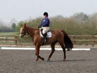 img 7993 30137038143 o