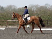 img 7995 30137042733 o