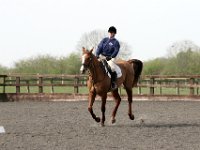 img 7997 30655786022 o