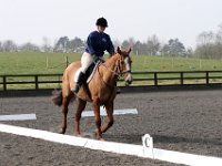 img 8000 30655792002 o