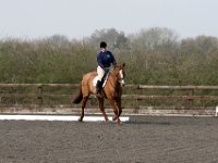 img 8001 30655794292 o