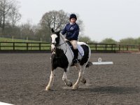 img 8006 30684269901 o