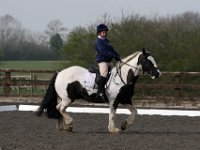 img 8007 30772499935 o