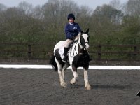 img 8008 30140740094 o