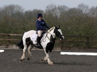 img 8009 30655817872 o