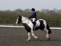 img 8010 30140744884 o