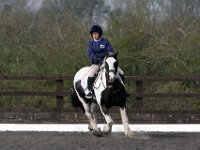 img 8015 30735871536 o