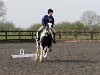 img 8017 30735875356 o