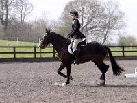 img 8030 30772537095 o