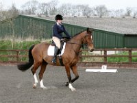 img 8043 30735938006 o