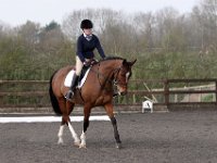 img 8045 30137109183 o