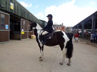 dsc01229 30827332346 o