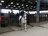 dsc01245 30775685971 o