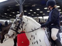 dsc01251 30747422802 o