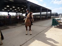 dsc01261 30747432362 o