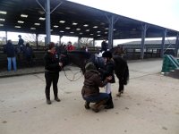 dsc01323 30231835664 o