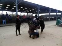 dsc01324 30864003185 o