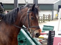 dsc01408 30827693136 o