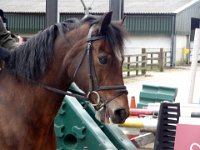 dsc01409 30562977180 o